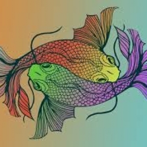 poza blog