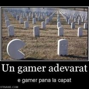 poza blog