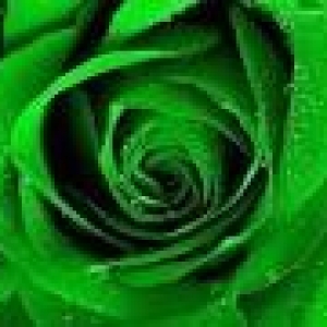 poza blog